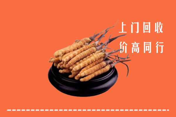 高价求购：长春市德惠回收散虫草