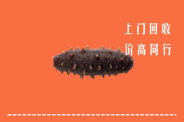 高价求购：长春市德惠回收海参