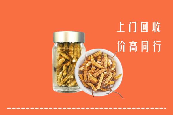长春市德惠回收冬虫夏草