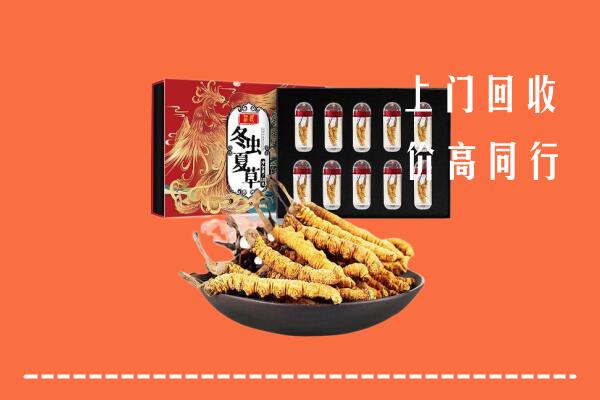 长春市德惠回收虫草